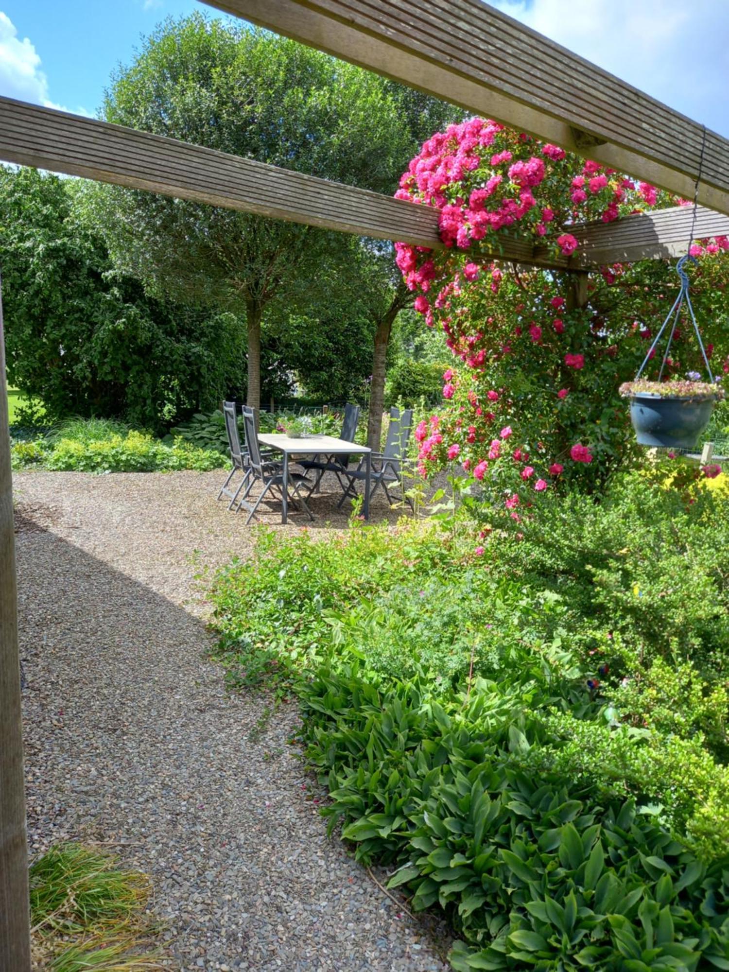 B&B Kleintje Eleveld מראה חיצוני תמונה